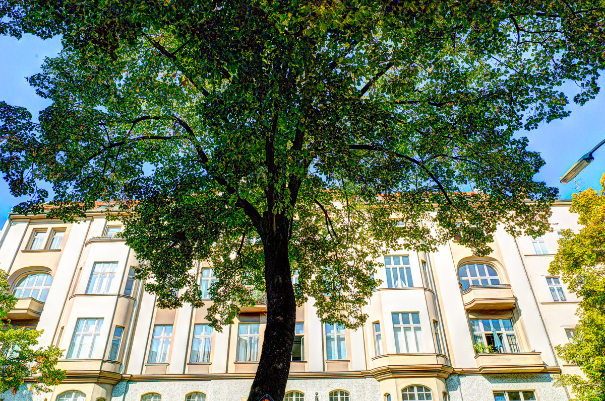 Photograph from Berlin series by Luther Smith