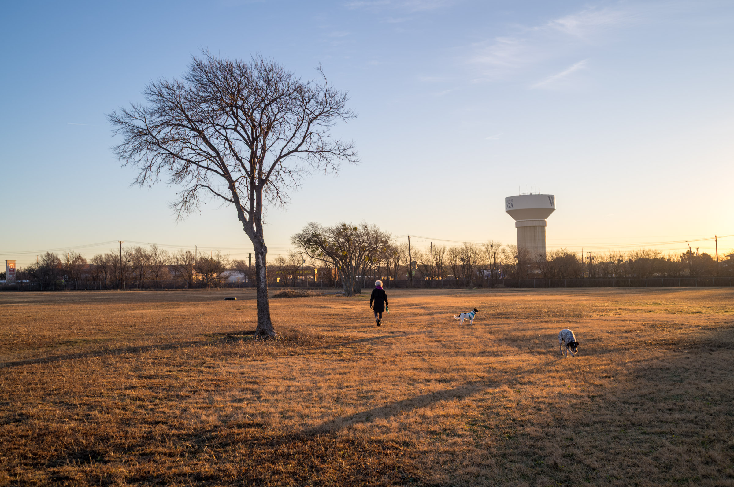 Morning Walk photograph by Luther Smith