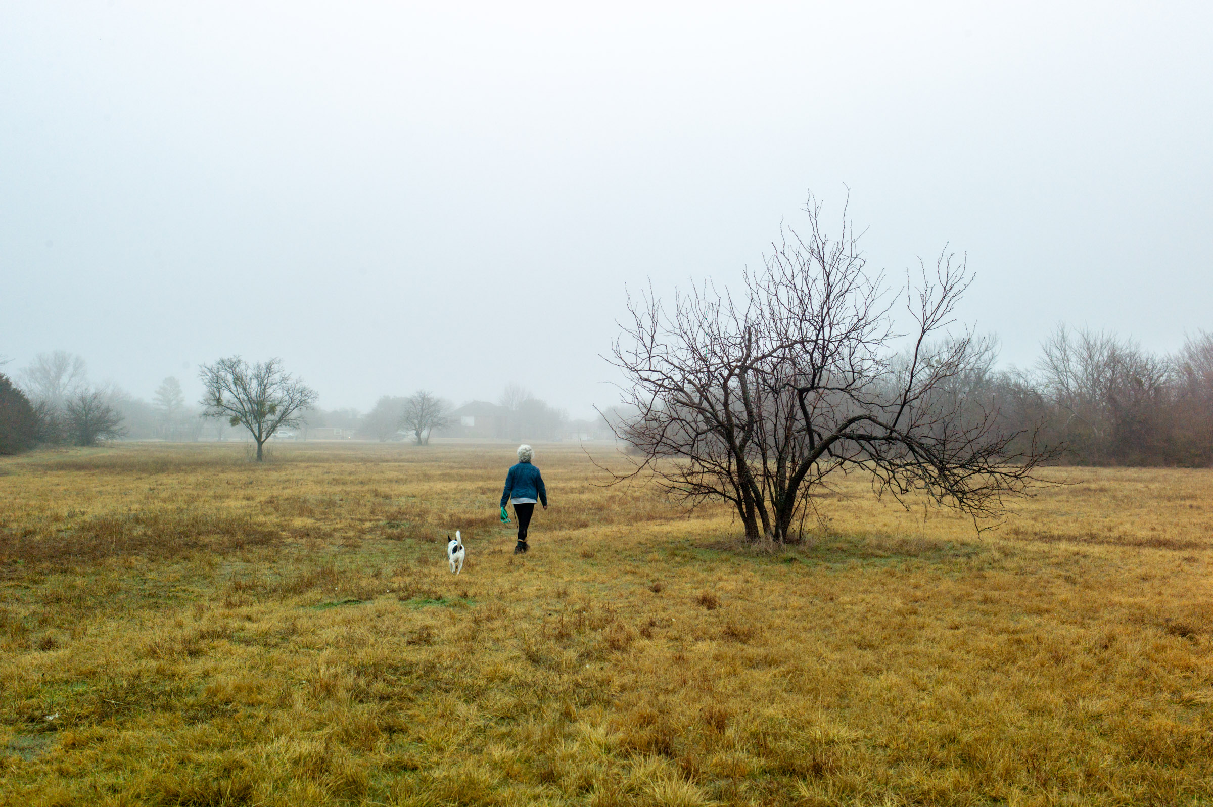 Morning Walk photograph by Luther Smith