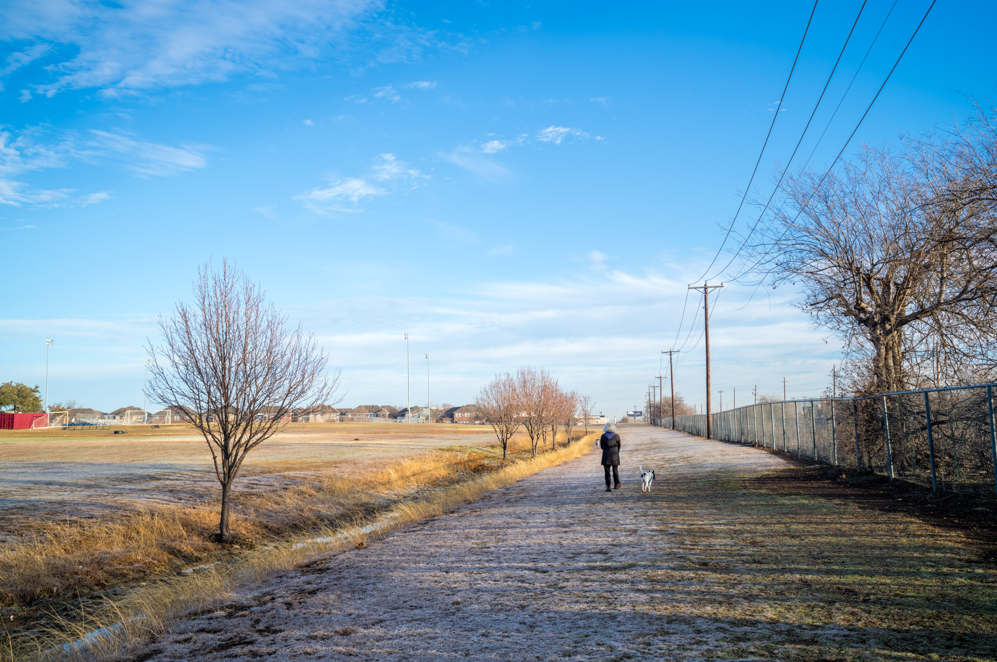 Morning Walk photograph by Luther Smith