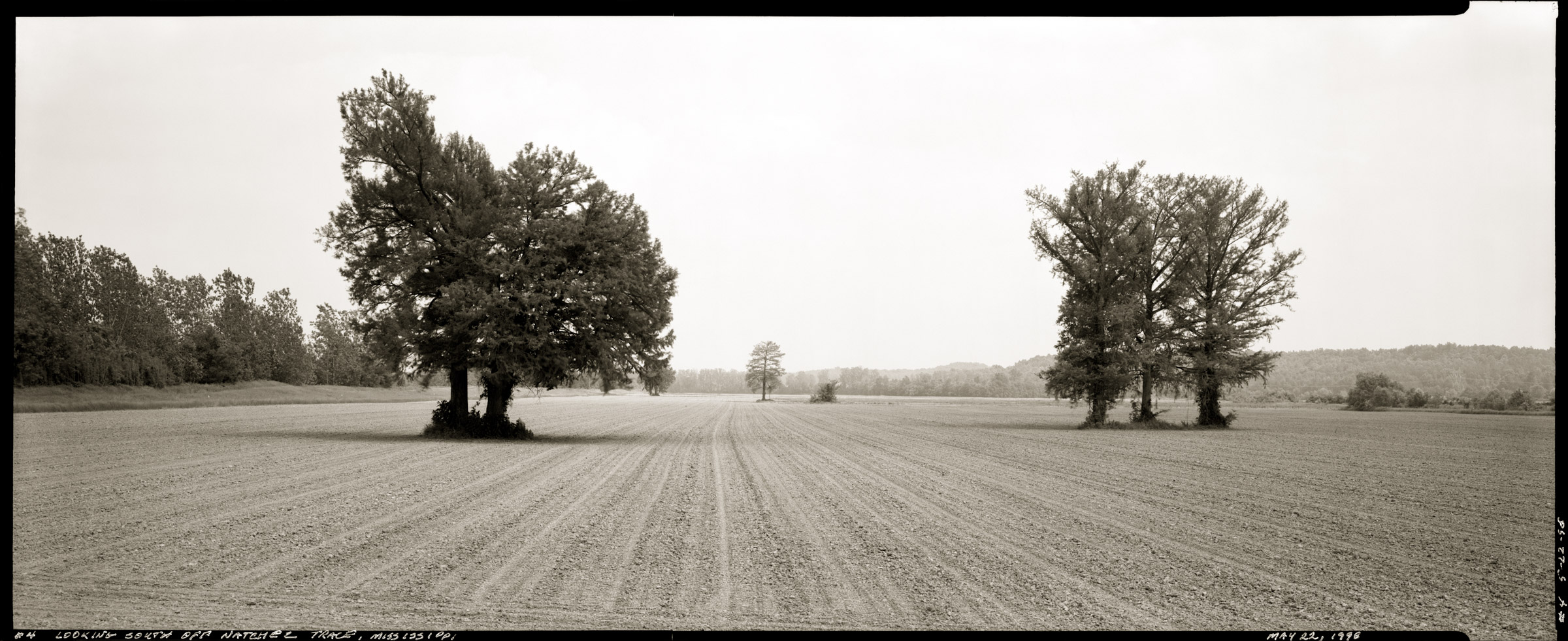 Natchez Trace landscape panorama