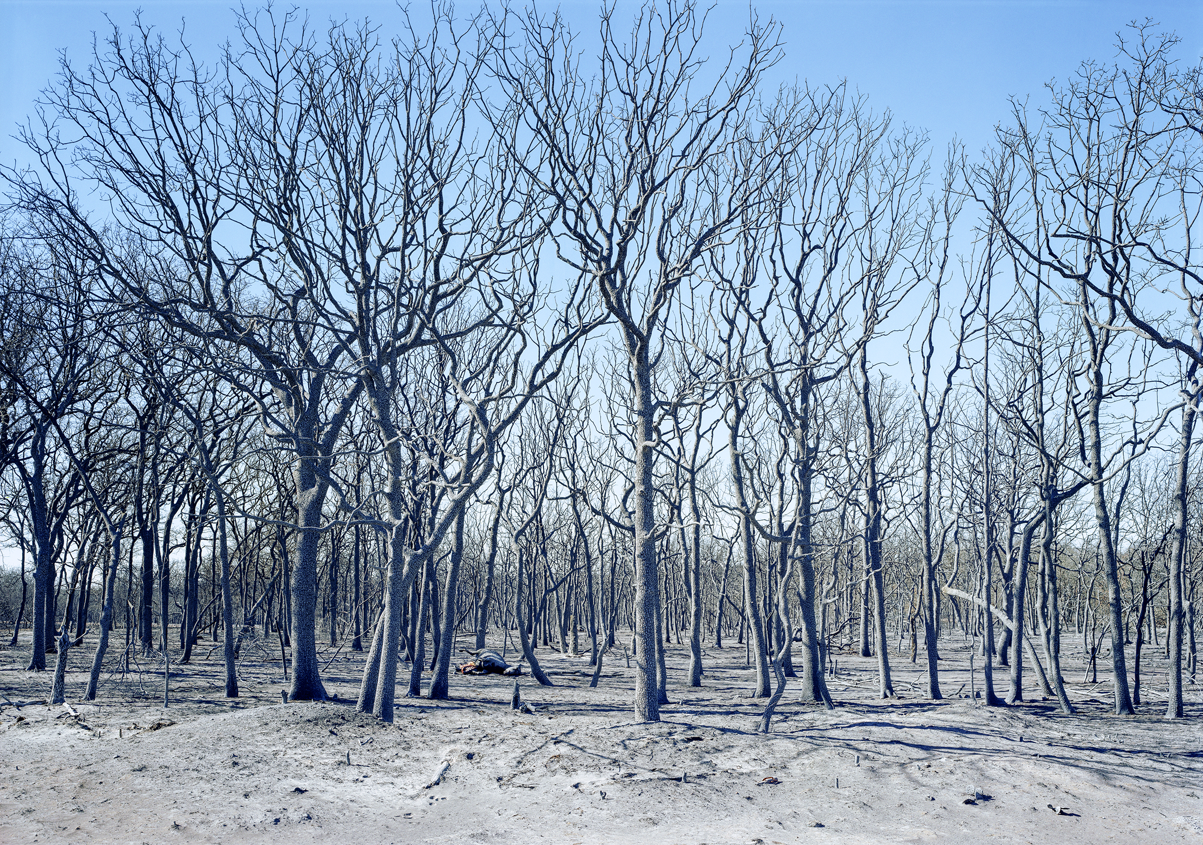 after wildfire near Carbon Texas