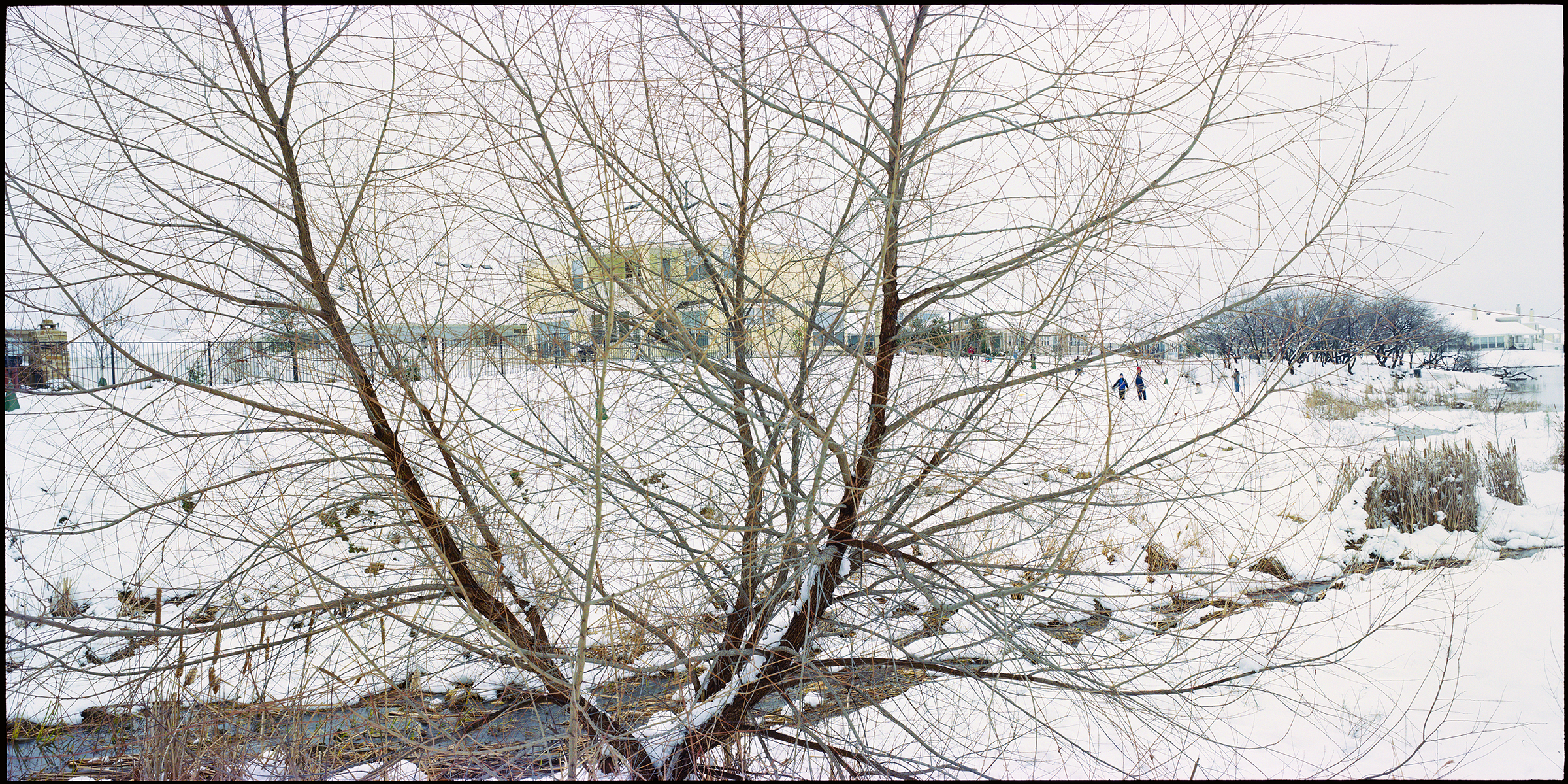 great snow 2010